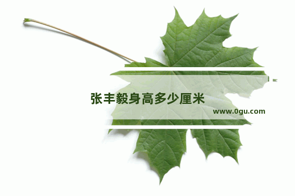 张丰毅身高多少厘米