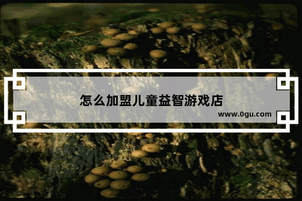怎么加盟儿童益智游戏店