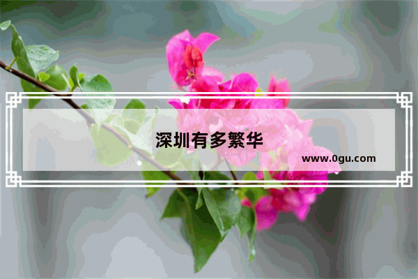深圳有多繁华