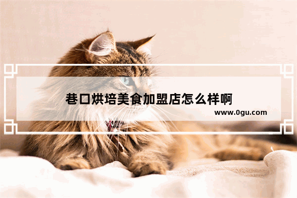 巷口烘培美食加盟店怎么样啊