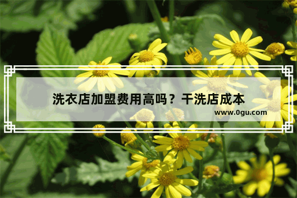 洗衣店加盟费用高吗？干洗店成本