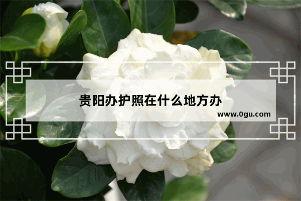 贵阳办护照在什么地方办