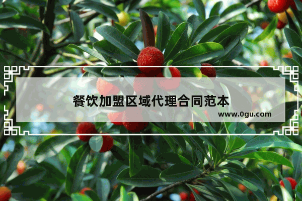 餐饮加盟区域代理合同范本