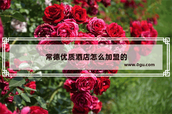 常德优质酒店怎么加盟的