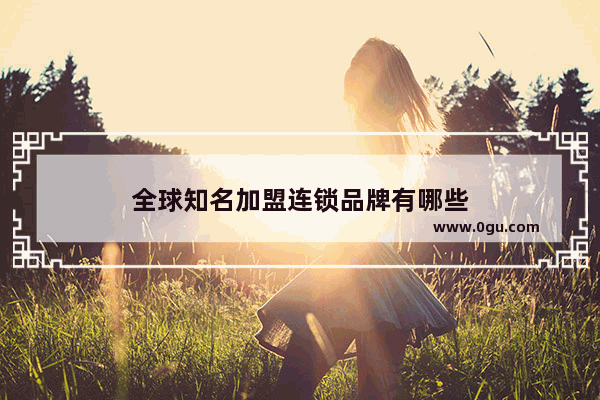 全球知名加盟连锁品牌有哪些