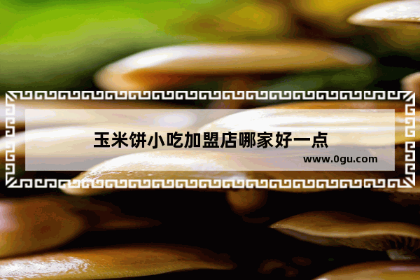 玉米饼小吃加盟店哪家好一点