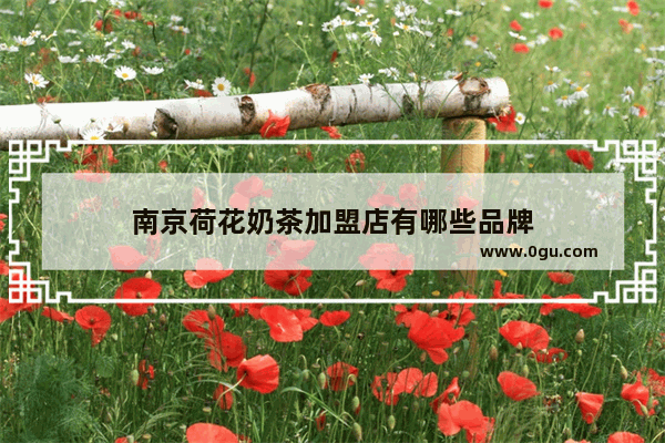南京荷花奶茶加盟店有哪些品牌
