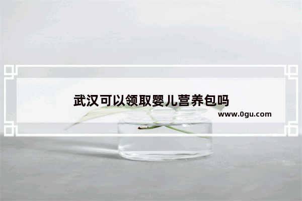 武汉可以领取婴儿营养包吗