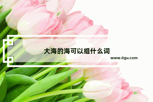 大海的海可以组什么词
