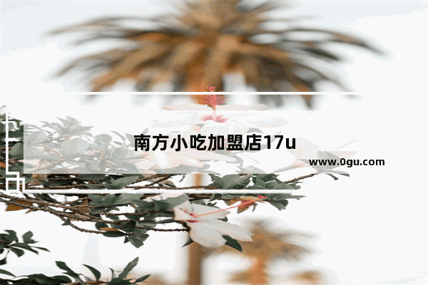 南方小吃加盟店17u