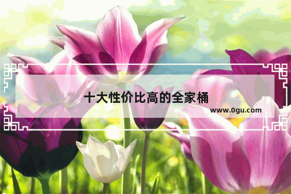 十大性价比高的全家桶