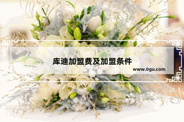 库迪加盟费及加盟条件