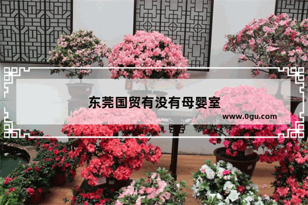 东莞国贸有没有母婴室
