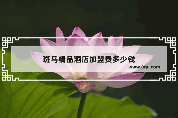 斑马精品酒店加盟费多少钱