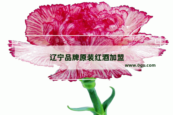 辽宁品牌原装红酒加盟