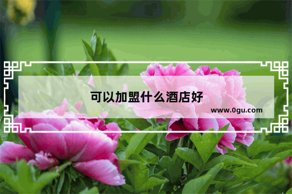 可以加盟什么酒店好