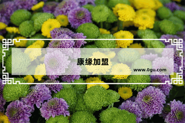 康缘加盟