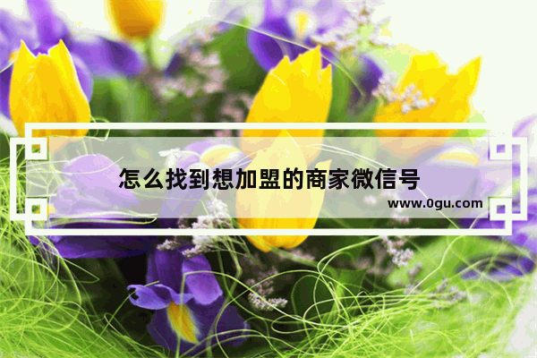 怎么找到想加盟的商家微信号