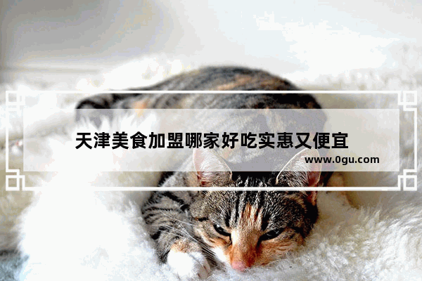 天津美食加盟哪家好吃实惠又便宜
