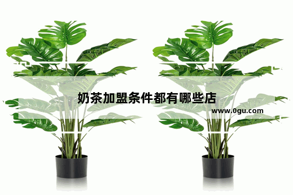 奶茶加盟条件都有哪些店