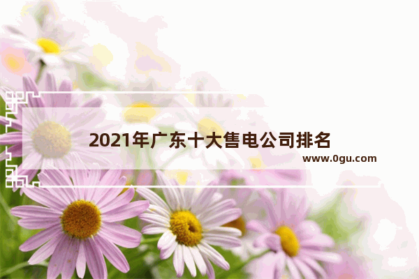 2021年广东十大售电公司排名