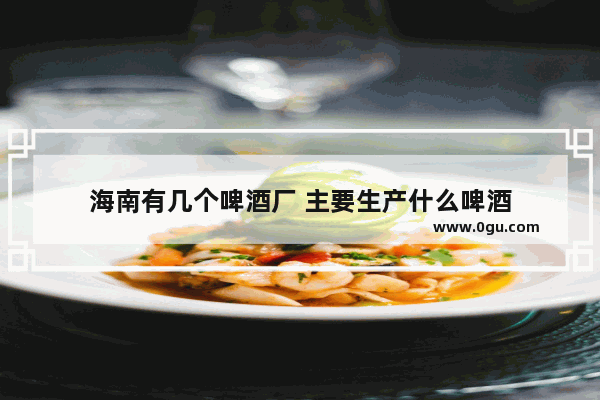 海南有几个啤酒厂 主要生产什么啤酒