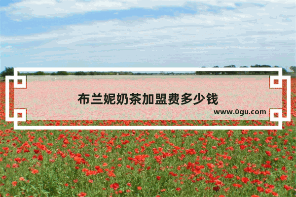 布兰妮奶茶加盟费多少钱