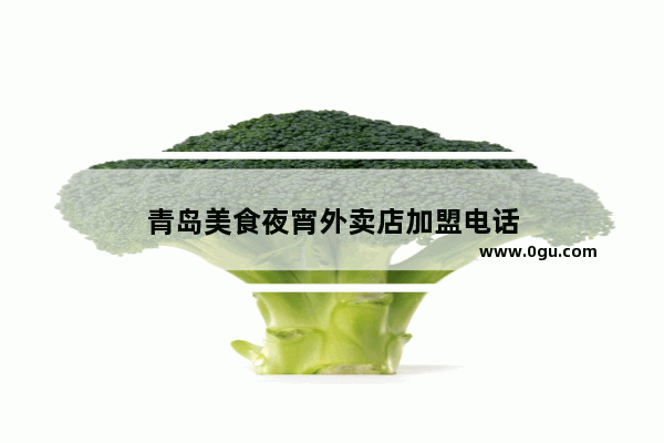 青岛美食夜宵外卖店加盟电话