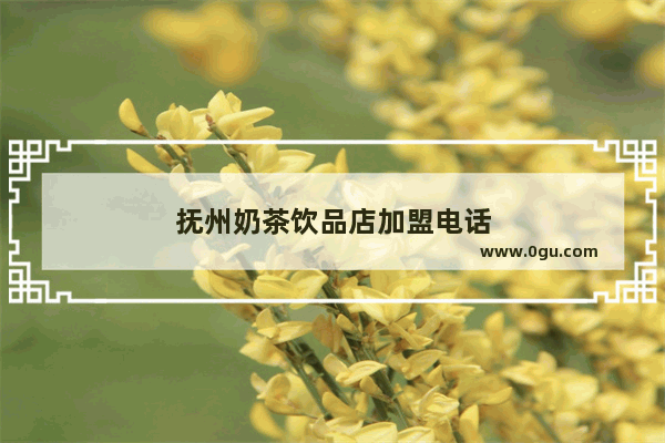 抚州奶茶饮品店加盟电话
