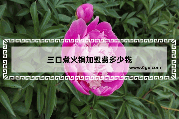 三口煮火锅加盟费多少钱