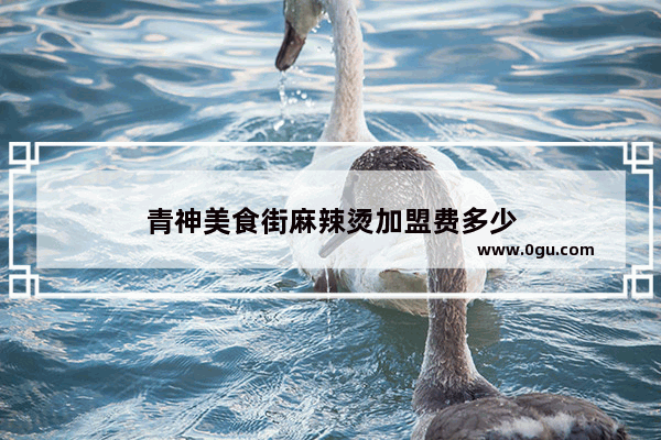 青神美食街麻辣烫加盟费多少