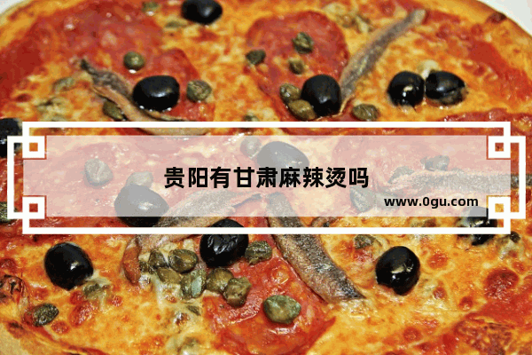 贵阳有甘肃麻辣烫吗