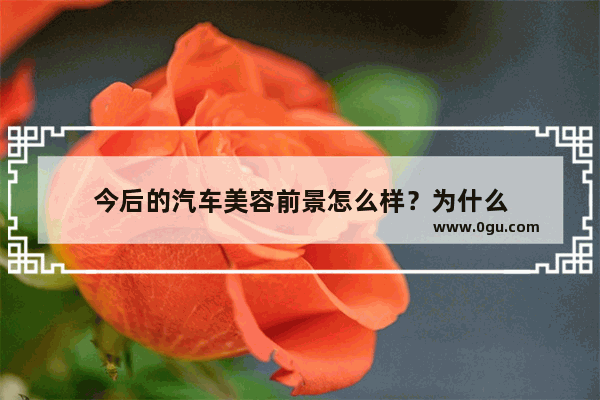 今后的汽车美容前景怎么样？为什么