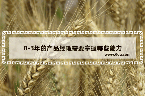 0-3年的产品经理需要掌握哪些能力