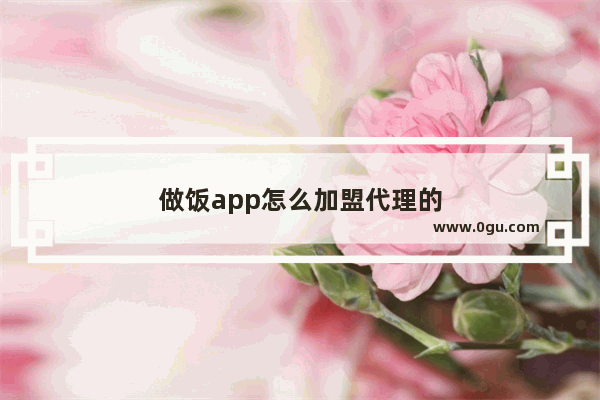 做饭app怎么加盟代理的