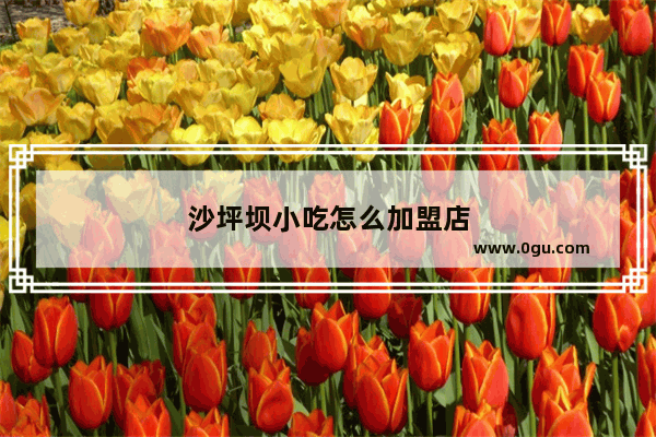 沙坪坝小吃怎么加盟店