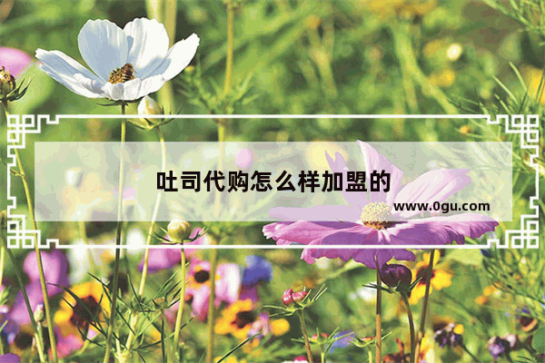 吐司代购怎么样加盟的