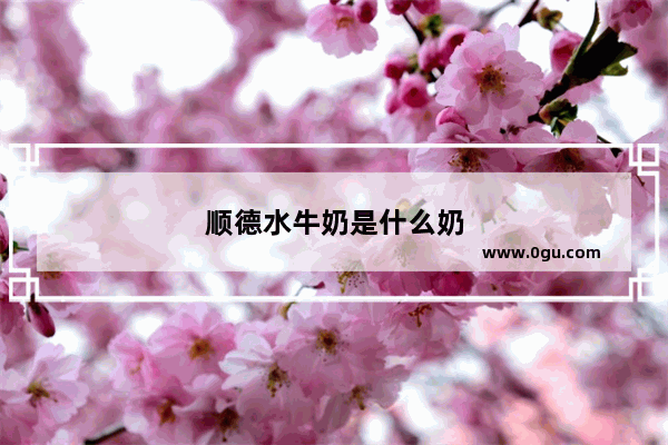 顺德水牛奶是什么奶