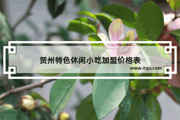 贺州特色休闲小吃加盟价格表