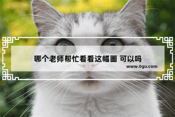 哪个老师帮忙看看这幅画 可以吗