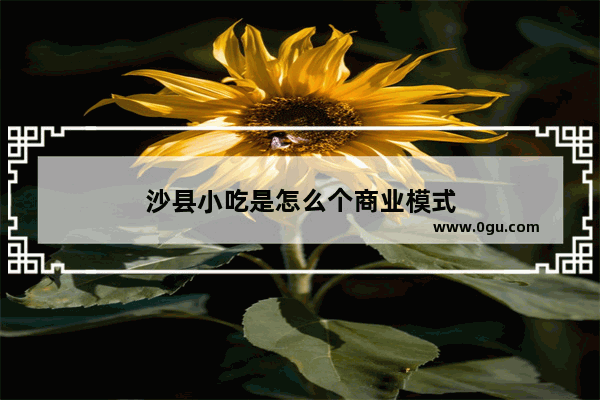 沙县小吃是怎么个商业模式