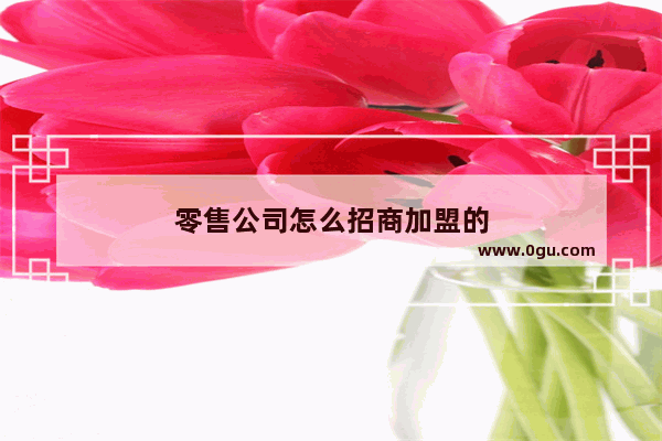 零售公司怎么招商加盟的