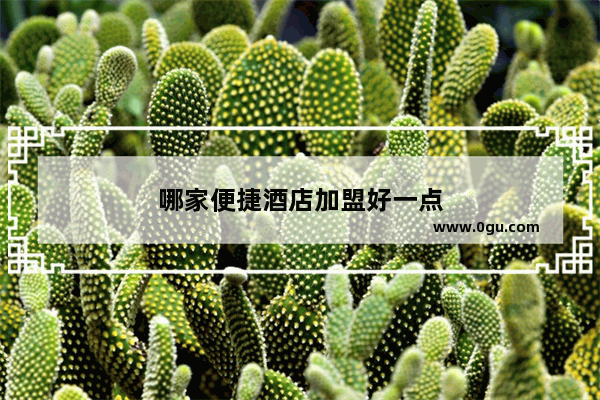 哪家便捷酒店加盟好一点
