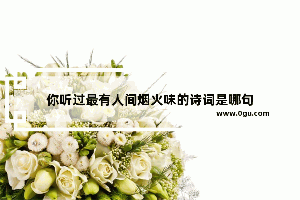 你听过最有人间烟火味的诗词是哪句