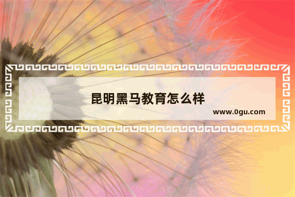 昆明黑马教育怎么样