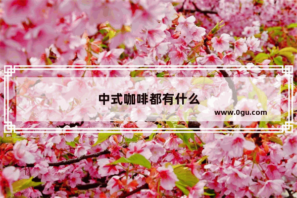 中式咖啡都有什么