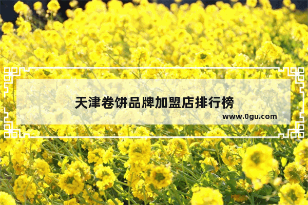 天津卷饼品牌加盟店排行榜