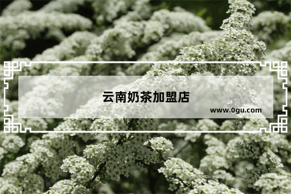云南奶茶加盟店