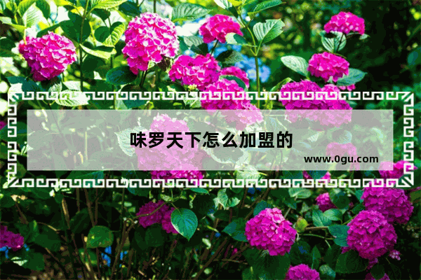 味罗天下怎么加盟的