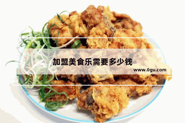 加盟美食乐需要多少钱